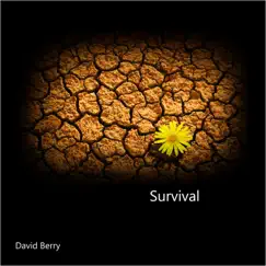 Survival - Single by David Berry album reviews, ratings, credits