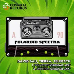 Polaroid Spectra - Single by David Bau, Tierra & Telepath album reviews, ratings, credits