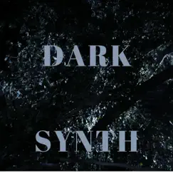 Dark Synth Song Lyrics