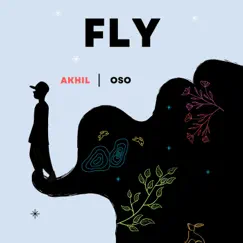 Fly - Single by Akhil OSO album reviews, ratings, credits