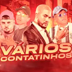 Vários Contatinhos (feat. Mc Brisola) Song Lyrics