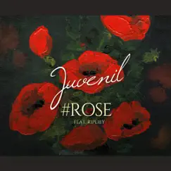 ROSE (feat. RIPLEY) Song Lyrics