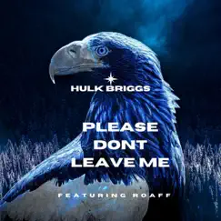 Please dont leave me (feat. ROAFF) Song Lyrics