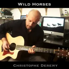 Wild Horses - Single by Christophe Deremy album reviews, ratings, credits