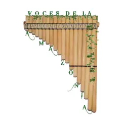 Voces de la Amazonía (feat. Leidy Ñungo, Yuli Camelo, Ropher, Fluido Mc, Noriad Mc, Z3 Gabo, VegaMusic, Stiven.Music, Garaflow, Maykel Mc & Turmeque) Song Lyrics