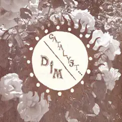 Dim / Catalyst Split - Single by Dim & Catalyst... album reviews, ratings, credits