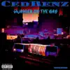 Swagger In The Bay (feat. Raymoane) - Single album lyrics, reviews, download