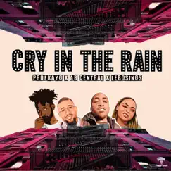 Cry in the rain - Single by Profkayg, LeboSings & Ab Central album reviews, ratings, credits