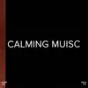 !!!" Calming Music "!!! album lyrics, reviews, download