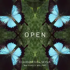 Open (feat. Ashley Willfire) Song Lyrics