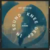 Hot Since 82 Presents: Knee Deep In Sound with Avesie (DJ Mix) album lyrics, reviews, download