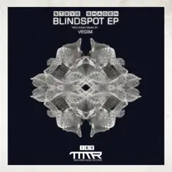 The Blindspot - Single by Steve Shaden album reviews, ratings, credits