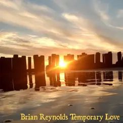 Temporary Love - Single by Brian Reynolds album reviews, ratings, credits