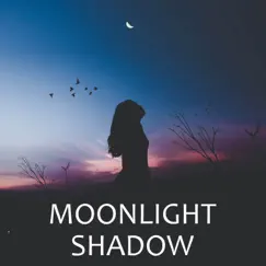 Moonlight Shadow (Guitar Version) Song Lyrics