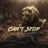 Cant Stop - Single album lyrics, reviews, download