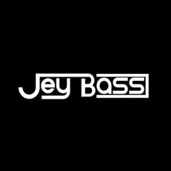 U Got Me Burning - Single by Jey Bass album reviews, ratings, credits