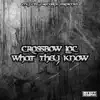 What They Know - Single album lyrics, reviews, download