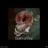 Born of Fire - Single album lyrics, reviews, download