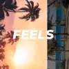 Feels (feat. Awesomejazz & Casley) - Single album lyrics, reviews, download