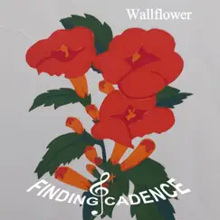 Wallflower Song Lyrics