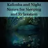 Kalimba and Night Noises for Sleeping and Relaxation album lyrics, reviews, download