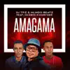 Amagama (feat. Mcebisi Kingryder) - Single album lyrics, reviews, download