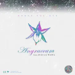 Angraecum (feat. Ayaca & Wawa) Song Lyrics
