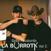 Rey Midas - La Burrotk, Vol. 2 - Single album lyrics, reviews, download