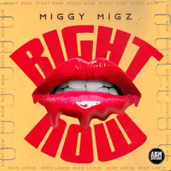 Right Now - Single by Miggy Migz album reviews, ratings, credits