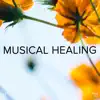 !!!" Musical Healing "!!! album lyrics, reviews, download