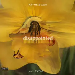 Disappointed (feat. Zateb) - Single by Nayme album reviews, ratings, credits