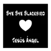 Bye Bye Blackbird song lyrics
