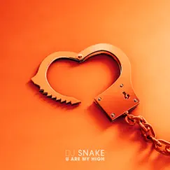 You Are My High - Single by DJ Snake album reviews, ratings, credits
