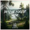 Serene Forest Music: Soothing Kalimba Melody album lyrics, reviews, download