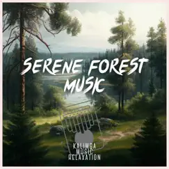 Serene Forest Music: Soothing Kalimba Melody by Kalimba Music Relaxation album reviews, ratings, credits