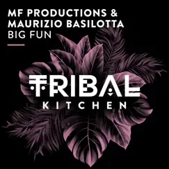 Big Fun (Extended Mix) - Single by MF Productions & Maurizio Basilotta album reviews, ratings, credits