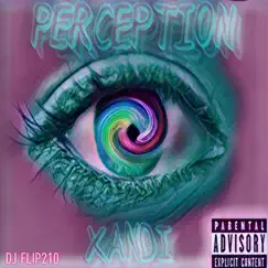 Perception (Chopped N Screwed) - Single [feat. DJ Flip210] - Single by XVND! album reviews, ratings, credits