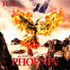 The Rise of the Phoenix album lyrics, reviews, download