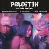 Palestin (feat. LP LEAN PERSY) - Single album lyrics, reviews, download