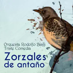 Zorzales de Antaño - Orquesta Rodolfo Biagi - Triste Comedia by Orquesta Rodolfo Biagi album reviews, ratings, credits