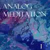Analog Meditation : Disk 1 album lyrics, reviews, download