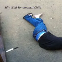 Silly Wild Sentimental Child (2010) by Leadfoot Magee album reviews, ratings, credits