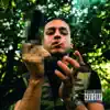 FERRO CAMO (Maradona) - Single album lyrics, reviews, download