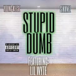 Stupid Dumb (feat. Lil Wyte & Sikknez) - Single by Young Keese album reviews, ratings, credits