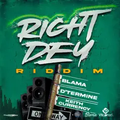 Right Dey Riddim - Single by Vita Productionz album reviews, ratings, credits