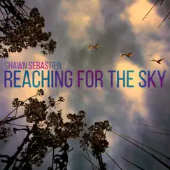 Reaching For the Sky - Single by Shawn Sebastien album reviews, ratings, credits