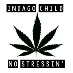 No Stressin (feat. Quis) - Single by Indago Child album reviews, ratings, credits