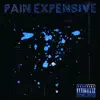 Pain Expensive song lyrics