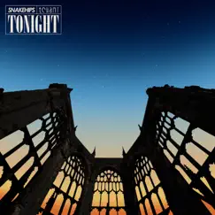 Tonight - Single by Snakehips & Tchami album reviews, ratings, credits
