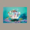 The Fungi Say Hello! album lyrics, reviews, download